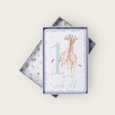 Wrendale Baby Animal Milestone Cards